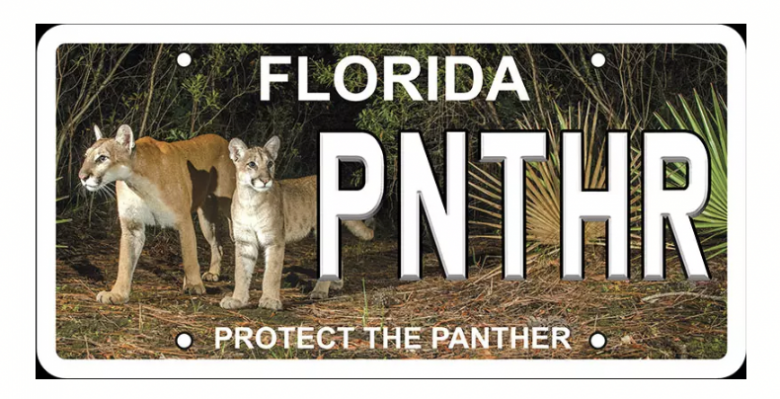 Protect the Panther Specialty Plate